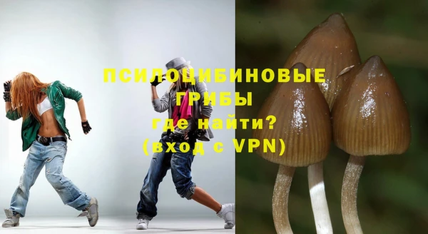ALPHA PVP Надым