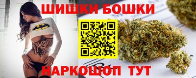 гидропоника Заводоуковск