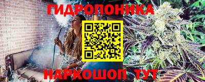 экстази Заволжье
