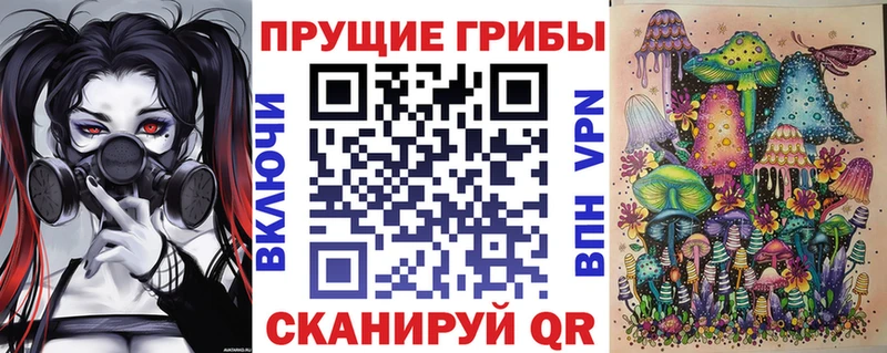 Псилоцибиновые грибы Cubensis  Ноябрьск 