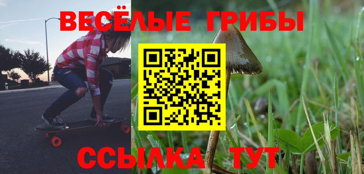 Ноябрьск  Галлюциногенные грибы мухоморы  Вход с VPN 
