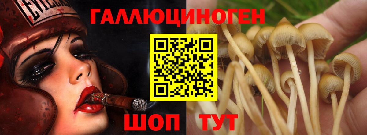 Галлюциногенные грибы MAGIC MUSHROOMS Ноябрьск